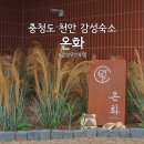 주식회사천안호텔어반트 | 충청도 천안 감성무인호텔 온화 : 가성비와 깔끔한 침구류와 감성까지 가득한 동남아 스타일의 호텔...