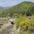 봄빛 민박 이미지