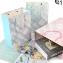 별빛백도
