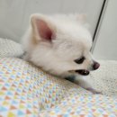 굿모닝24시 이미지