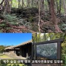 교래 말 전문병원 | 제주 숲길 산책 명소 교래자연휴양림 입장료부터 코스까지