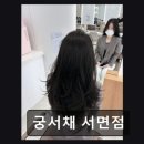 젬마미용실 | [서면 미용실] 궁서채 서면점 꼼꼼한 시술과 맞춤 디자인