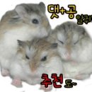 완소유통