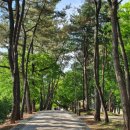 쌍충비각 이미지