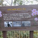 정상길 이미지