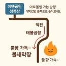 GS25 하단아트몰링점 | 하단역 맛집 참숯향 가득한 막창 [불새막창] 솔직 리뷰 🐷✨