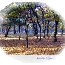 경주한복판