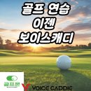 골프인캐디 이미지