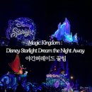 공간놀이_Dream | 올랜도] 디즈니월드 매직킹덤 Magic Kingdom : Disney Starlight Dream the Night Away 야간퍼레이드 꿀팁