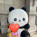 고고월드크루즈야 이미지