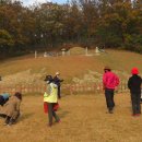 고랑포구역사공원 이미지