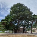 유천1리마을회관 이미지