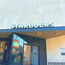 꿈에그린펜션A | 가평 마트 앱 이용후기, 스타벅스 대성리 DT점, 꿈에그린펜션 연말 워크숍