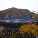 오어사 이미지