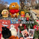 압구정 도산공원 라춘 복배달 이벤트와 낫배드커피x모모이 팝업전시(포토존과 이벤트 꿀팁)