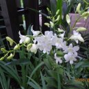 주식회사 승재 이미지