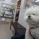 24시동물병원 이미지