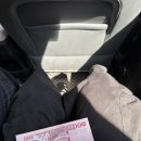 감분 | 치앙마이 진짜왔다(2)_마켓정복기 : 코코넛마켓,징짜이마켓, 선데이마켓