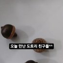 양산 젊음의 거리 버스킹 무예난타공연 이미지