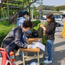 강서농산물도매시장 이미지