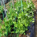 추대농장 이미지