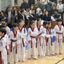 푸른하늘태권도장 이미지