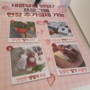 김지호농장 | 아이랑가볼만한곳 헤븐온어스 딸기농장@용인 처인구 원삼면(딸기밭이 있는 실내놀이터)