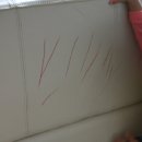 하리네집 이미지