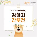 원주더봄동물의료센터 이미지