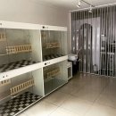 고양이집:고집 이미지