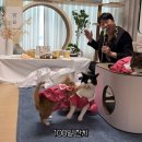 옥계북로-9 이미지