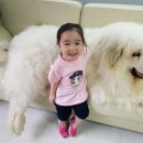파스텔세상헤지스키즈 이미지