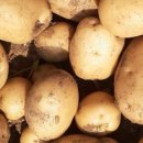 박재식농장 이미지