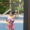 달샘트리 이미지