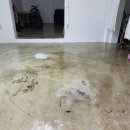 BK 당구장 이미지