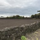 서동길 20 이미지