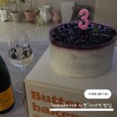 pet353더1592 | 버터베이커리 아현 : 이대역 아현역 천하제빵 빵집 케이크 맛집 주차 울베이커리 자리 내돈내산