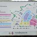 서귀포향토오일시장 이미지