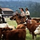 우애목장 이미지