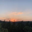 토토멍 애견풀빌라 이미지