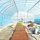 진봉농장 이미지