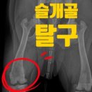 효천동물병원 이미지