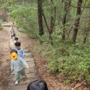(주)우리숲