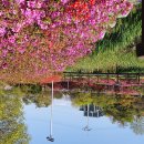 수변공원 정자옆 이미지