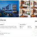 부산아난티 호캉스 추천 워터하우스 내돈내산 후기
