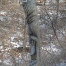 옥화자연휴양림 이미지