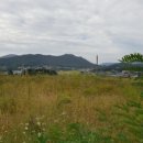 인삼공인중개사사무소 이미지