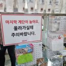 다이소구미문성지구점 이미지