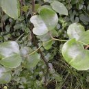 청미래농장 이미지