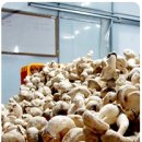 농선농장 이미지